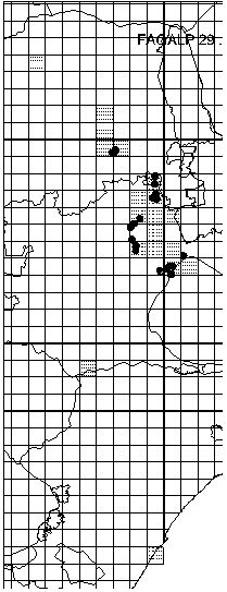 Faurea galpinii Distribution