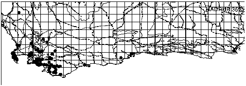 Hakea drupacea Distribution