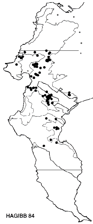 Hakea gibbosa Distribution