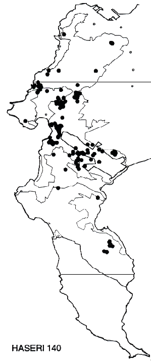 Hakea sericia Distribution