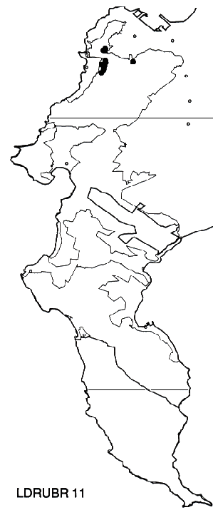 Leucadendron rubrum Distribution
