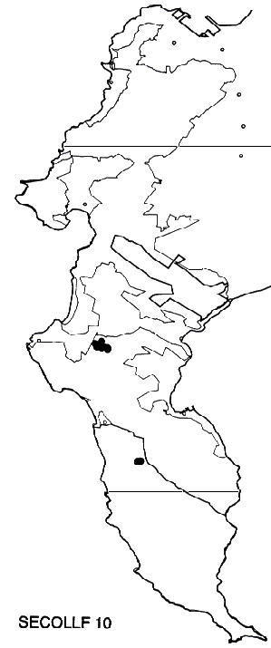 Serruria collina Distribution
