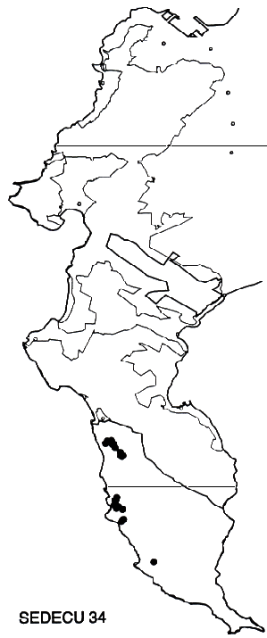 Serruria decumbens Distribution