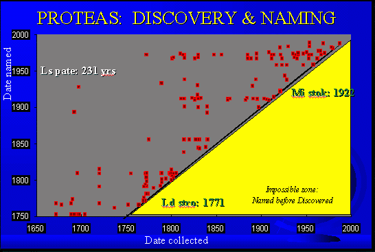 Discovery and Naming of Proteas