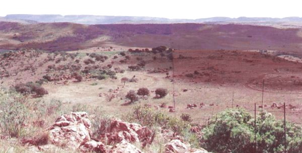 Effects of too frequent fire - Photo: Reuben Heydenrych