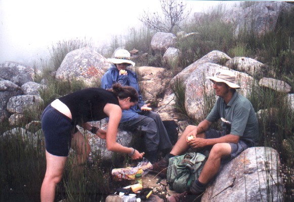 Collecting Protea subulifolia - Photo: Greg Anderson