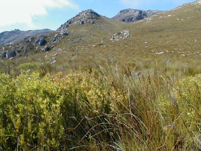 The approach - Photo: Nigel Forshaw