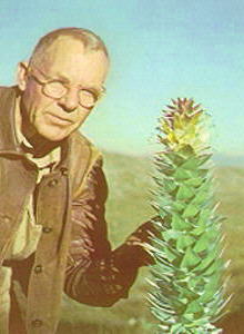 Mace Pagoda - Photo: NBI Collection