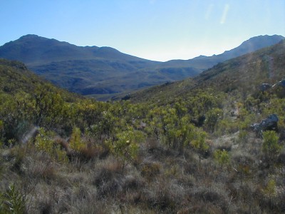 Rayner Trophy 2003 - Photo: Nigel Forshaw